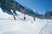 Langlauf & Skating auf der Grenzlandloipe